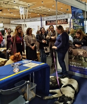 Pet Festival 2026 - ACRA