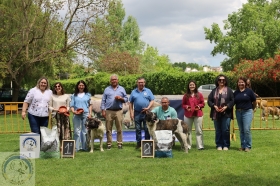 XXX Concurso Regional do Rafeiro do Alentejo de Alter do Chão 2026 - ACRA