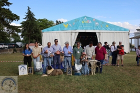 XXXIV Concurso Regional do Rafeiro do Alentejo de Beja - Ovibeja 2026 - ACRA